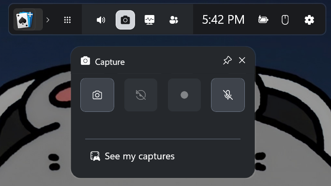 desktop screen recording