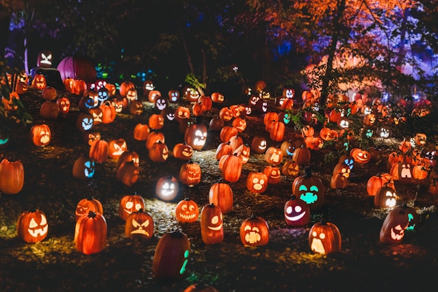 Halloween zoom background with pumpkins