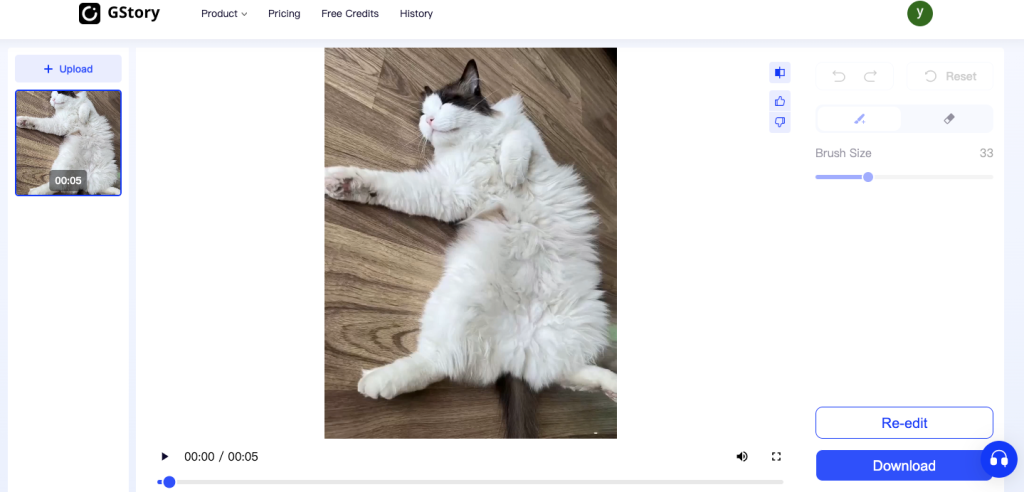 How to Remove Watermark from Video: GStory processing screenshot