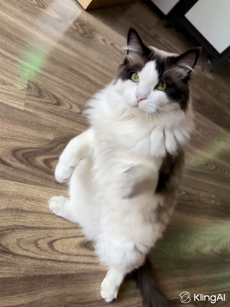 a frame of AI-generated video