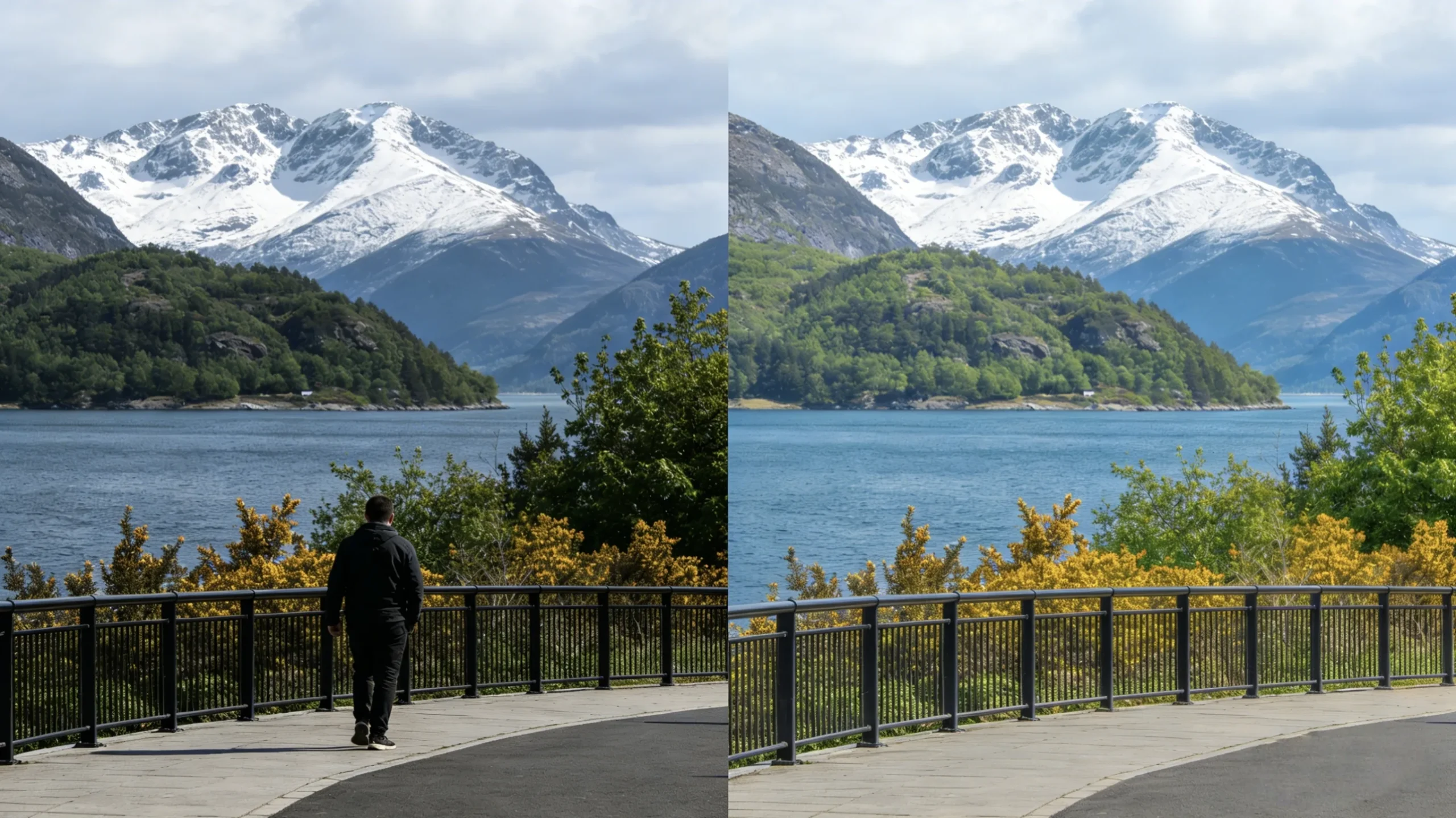 How to Remove a Person from a Photo